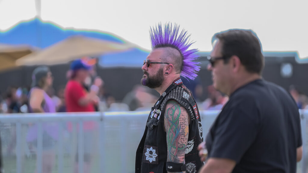 Man with a mohawk hairstyle at Punk in Drublic festival