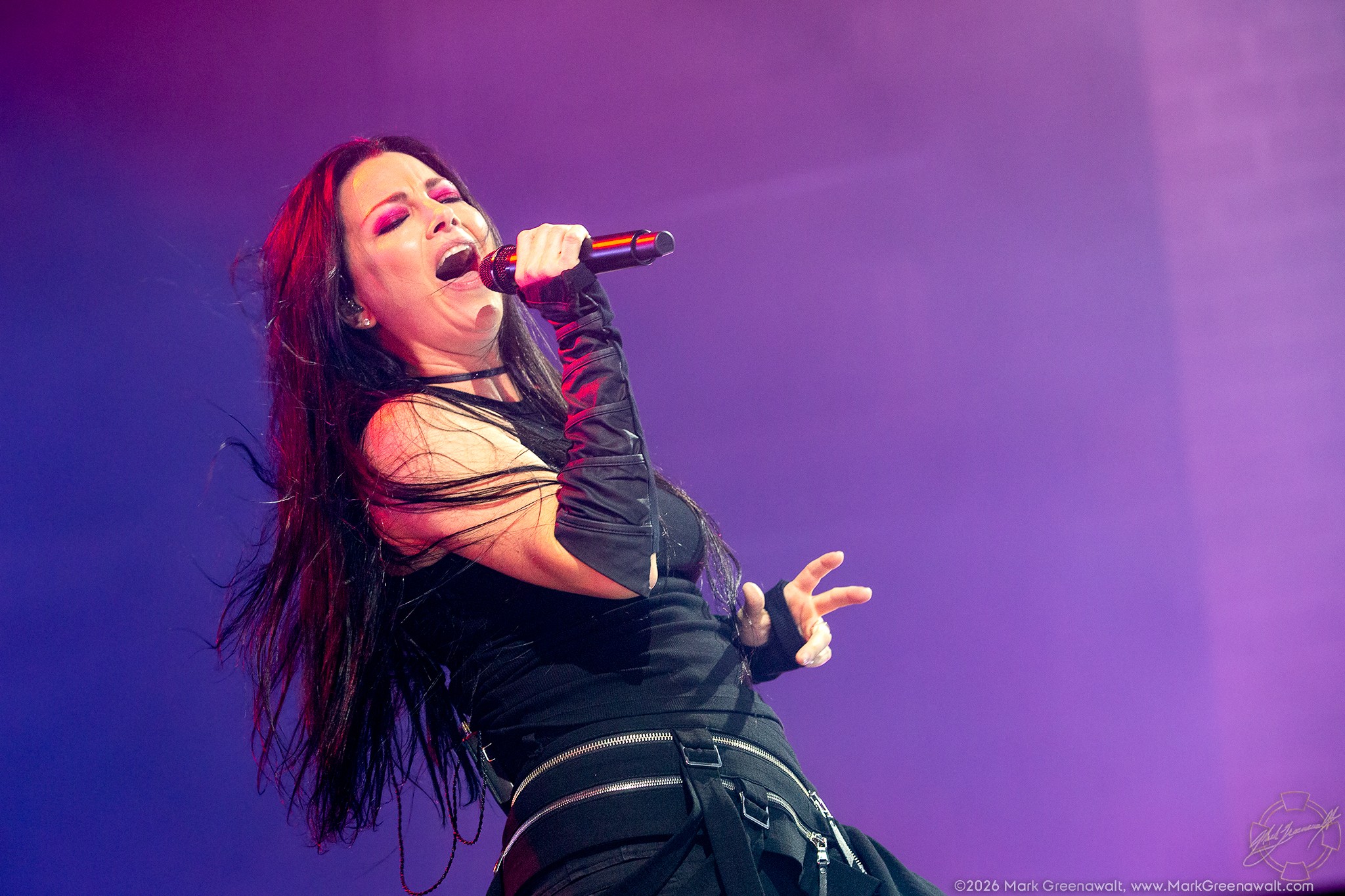 Amy Lee sings into a handheld microphone while leaning backward, her long dark hair falling behind her against a softly lit purple and blue stage.
